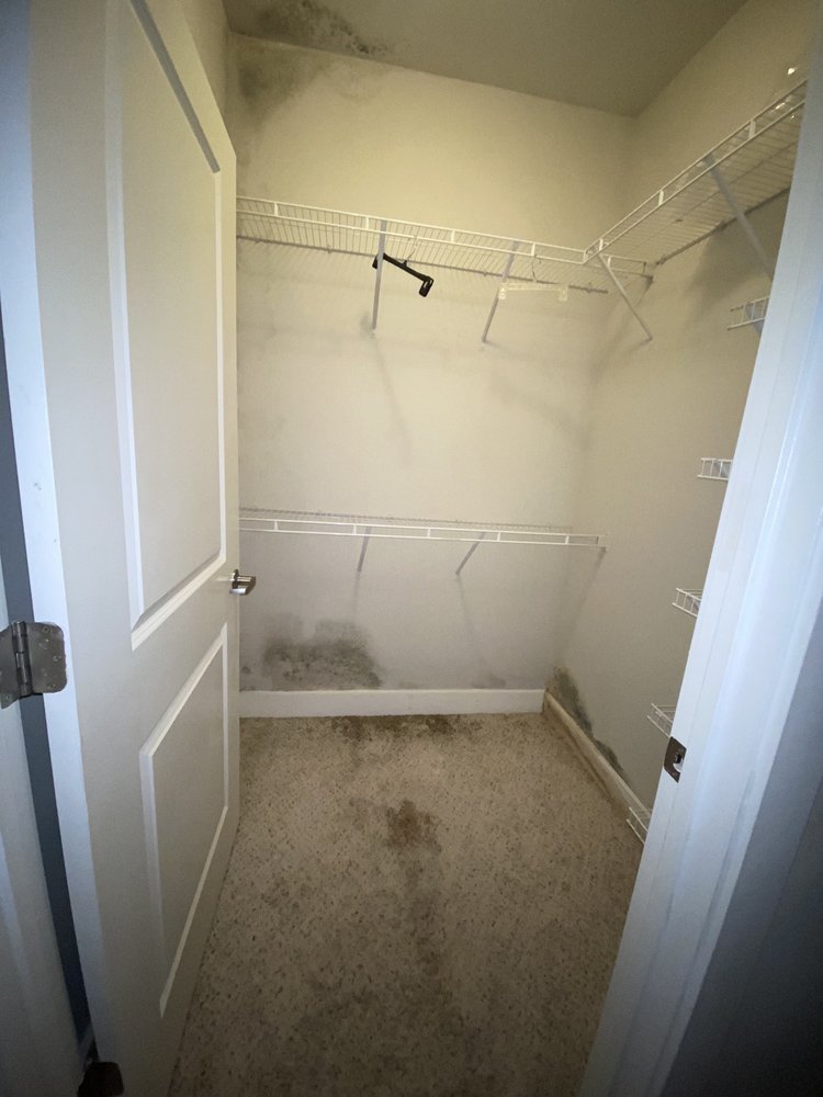 ASPEN HEIGHTS CHARLOTTE Updated July 2024 16 Photos & 21 Reviews