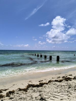 Bal Harbour Beach by null