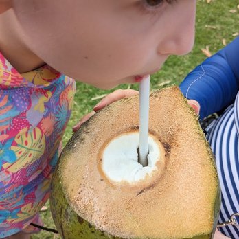 Tsue's Farm - Fresh Coconut Milk - Paddleboarding Near Me - Haleiwa, Hawaii Tsue's Farm - Fresh Coconut Milk - Paddleboarding Near Me - Haleiwa, Hawaii