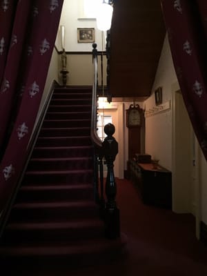 The Grand On Macfie by null