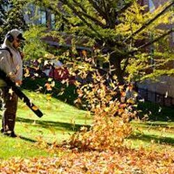 Merlin Landscaping