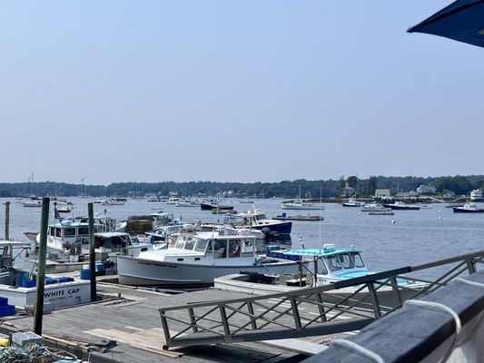 Boothbay Lobster Wharf by null