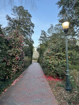 Pinehurst Resort by null