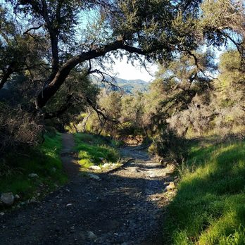 Aliso Canyon and Loop & Campground - Hiking Near Me - Santa Barbara, California Aliso Canyon and Loop & Campground - Hiking Near Me - Santa Barbara, California