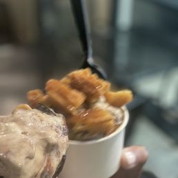Single Scoop