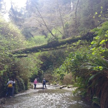 Prairie Creek Redwoods State Park - Fern Canyon - Parks Near Me - Orick, California Prairie Creek Redwoods State Park - Fern Canyon - Parks Near Me - Orick, California