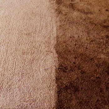 True Blue Carpet Cleaning - Carpet Cleaning Near Me True Blue Carpet Cleaning - Carpet Cleaning Near Me
