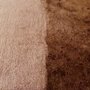 Photo of True Blue Carpet Cleaning