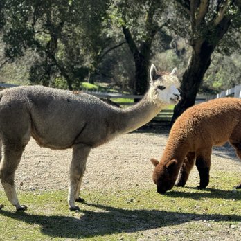 R2 Hillside Ranch - Ranches Near Me - Watsonville, California