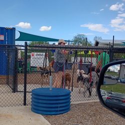 Off Leash Social - View from handicap parking spot of front gate