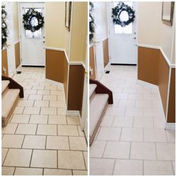 Tile Alive