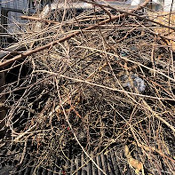 Help U Services - Rubbish removal - Junk Removal & Hauling Near Me - Toledo, Ohio Help U Services - Rubbish removal - Junk Removal & Hauling Near Me - Toledo, Ohio