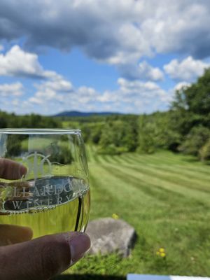 Cellardoor Winery by null