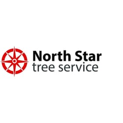 North Star Tree Service