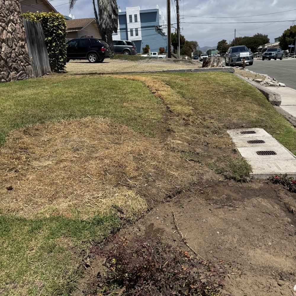 DJ's Plumbing - The restored landscaping after digging up and putting in all new gas lines. Simply excellent AND in the promised timeframe. - Plumbing Near Me - Arroyo Grande, California DJ's Plumbing - The restored landscaping after digging up and putting in all new gas lines. Simply excellent AND in the promised timeframe. - Plumbing Near Me - Arroyo Grande, California