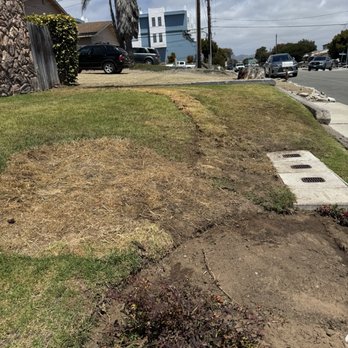 DJ's Plumbing - The restored landscaping after digging up and putting in all new gas lines. Simply excellent AND in the promised timeframe. - Plumbing Near Me - Arroyo Grande, California DJ's Plumbing - The restored landscaping after digging up and putting in all new gas lines. Simply excellent AND in the promised timeframe. - Plumbing Near Me - Arroyo Grande, California