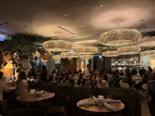 Ema by null Ema by null