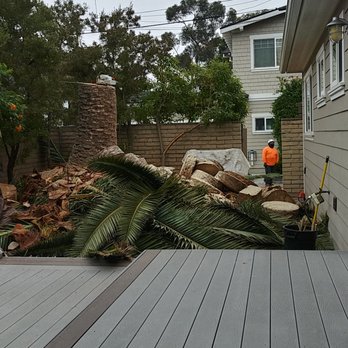 Artistic Arbor Gardens - Removing disks and fronds - Tree Services Near Me - San Diego, California