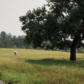 Glenstone - Every corner you turn brings a delightful surprise - Art Museums Near Me - Potomac, Maryland