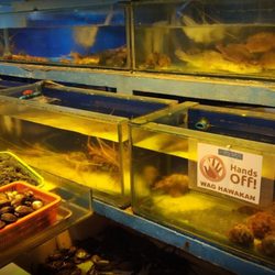 Skylight Seafood