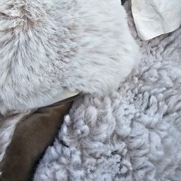 $200 UGG comforter $200 UGG comforter