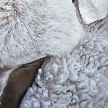 Benicia New Generation Cleaner - $200 UGG comforter - Sewing & Alterations Near Me - Benicia, California Benicia New Generation Cleaner - $200 UGG comforter - Sewing & Alterations Near Me - Benicia, California