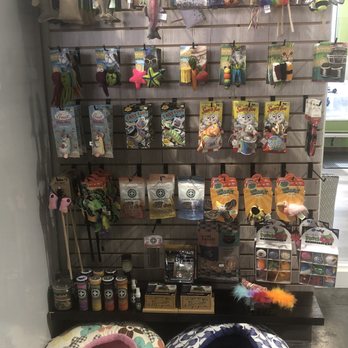 The Green K9 - Pet Sitting Near Me - Urbana, Maryland