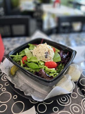 Chicken Salad Chick by null