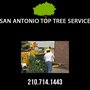 Photo of San Antonio Top Tree Service