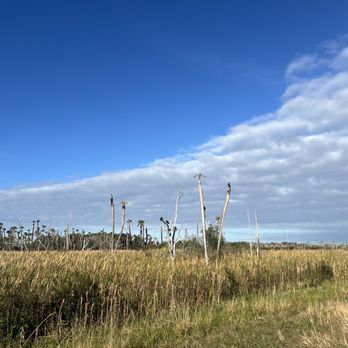 Orlando Wetlands - Parks Near Me - Christmas, Florida