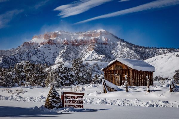 Bryce Trails Bed and Breakfast by null