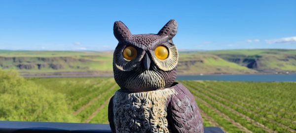 Maryhill Winery Goldendale Tasting Room & Bistro by null