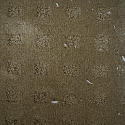 The pic shows the carpet in one of the rooms after cleaning.