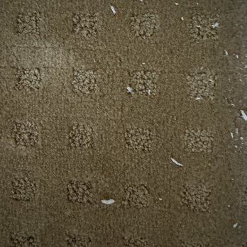 Not Your Average Cleaners - The pic shows the carpet in one of the rooms after cleaning. - Home Cleaning Near Me - Oakland, California
