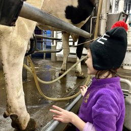 Milking with Marc Milking with Marc