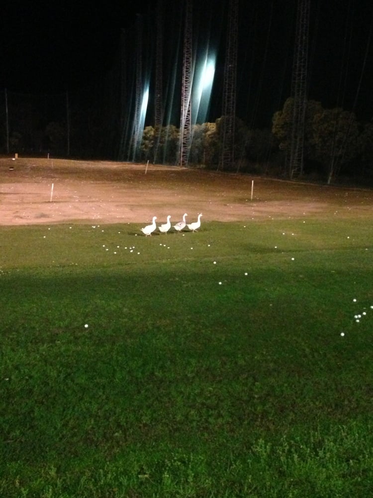 TEE TIME GOLF DRIVING RANGE Updated May 2024 76 Learoyd Rd, Acacia