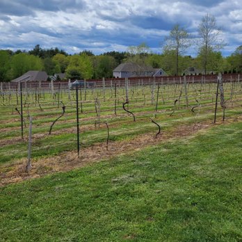 Brignole Vineyards - Wineries Near Me - East Granby, Connecticut Brignole Vineyards - Wineries Near Me - East Granby, Connecticut