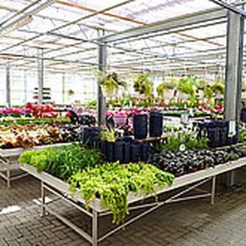 Seeberger Pflanzenhof - Nurseries & Gardening Near Me - Cologne, NW Seeberger Pflanzenhof - Nurseries & Gardening Near Me - Cologne, NW