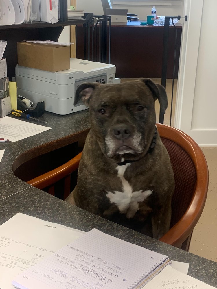 PARKS TIRE & AUTO SERVICE Updated September 2024 10 Photos & 22 Reviews 308 Centreville Rd