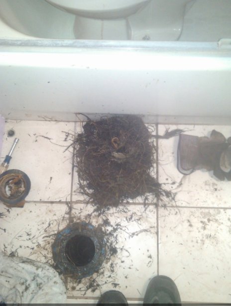 Slide of B&e Rooter and Plumbing