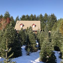 Kraxberger Farms