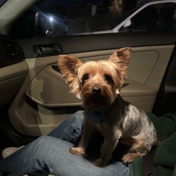 Oh So Cute! Dog Grooming - Haircut and bath - Pet Groomers Near Me - Moreno Valley, California Oh So Cute! Dog Grooming - Haircut and bath - Pet Groomers Near Me - Moreno Valley, California