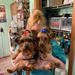 Posh Pet Grooming Salon