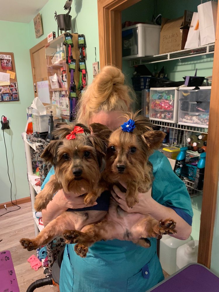 Posh Pet Grooming Salon Image