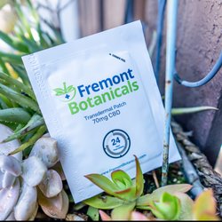 Fremont Botanicals - Time-release cbd transdermal patches are a great way to alleviate pain