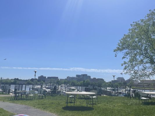 Adventures Unbound: Columbia Island Marina by null