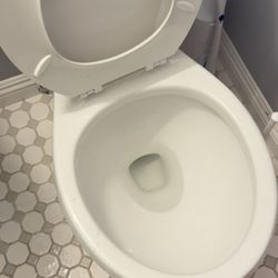 Handyman Mark - Toilet repair