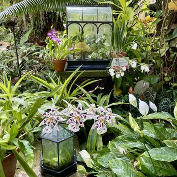 San Antonio Botanical Garden - Botanical Gardens Near Me - San Antonio, Texas