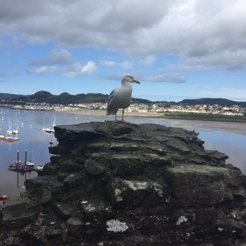 Conwy Castle - Castles Near Me - Conwy, CWY