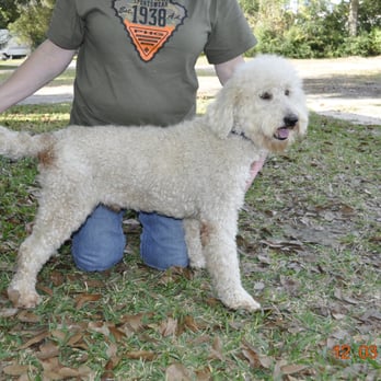 Just Labs Kennels - Pet Services Near Me - Orange, Texas Just Labs Kennels - Pet Services Near Me - Orange, Texas